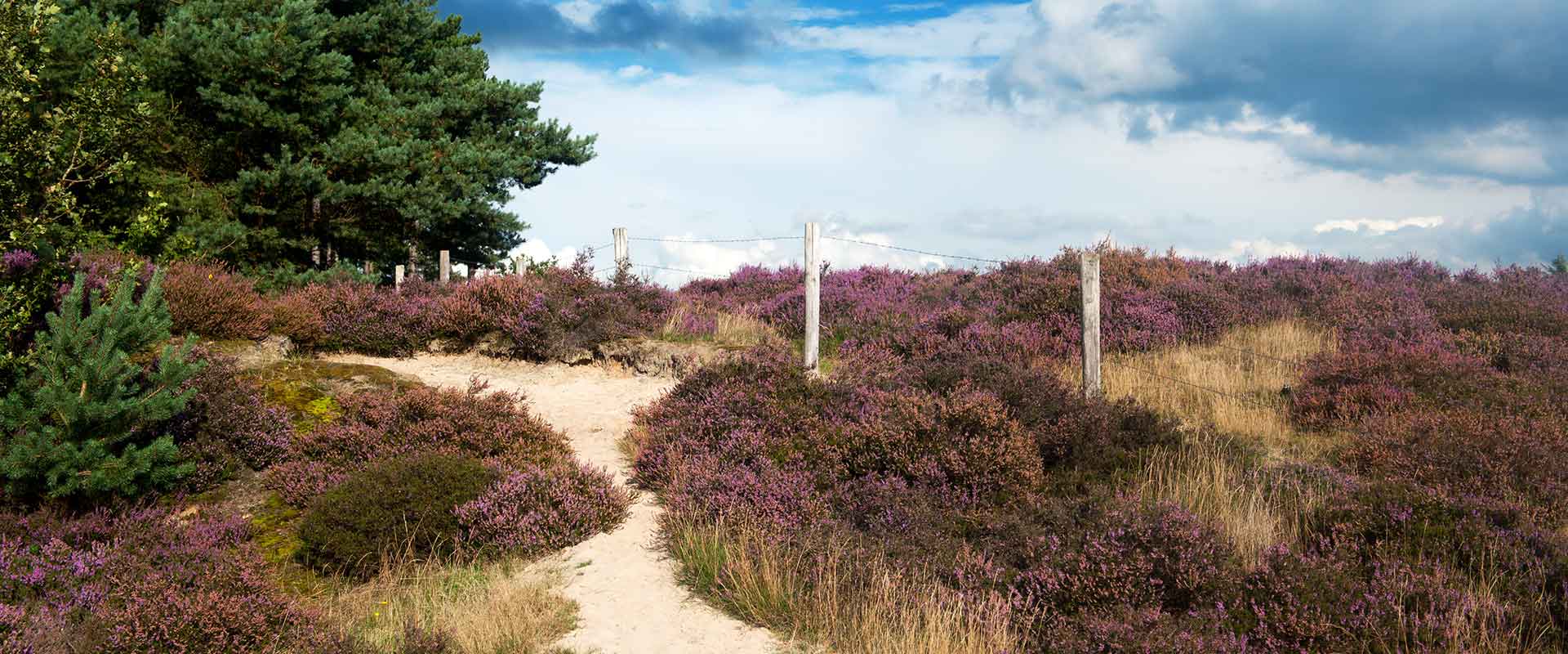 Facharztzentrum Wesendorf Facharztzentrum Wesendorf